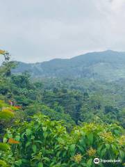 Finca Alejandria 'El Paraiso de los Colibries'