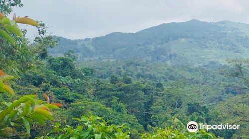 Finca Alejandria 'El Paraiso de los Colibries'