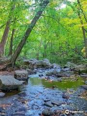 Hacklebarney State Park