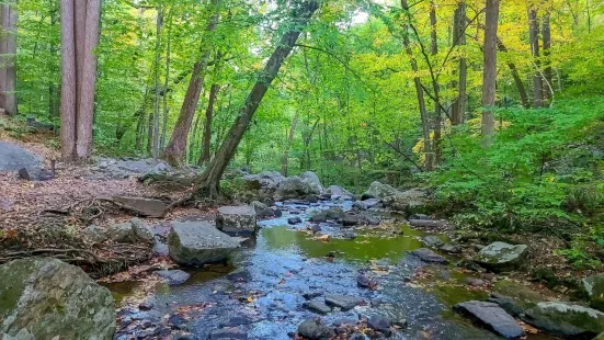 Hacklebarney State Park