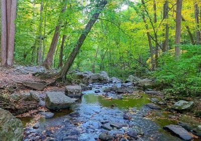 Hacklebarney State Park