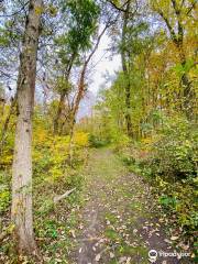 Fox Island County Park