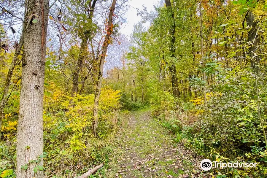 Fox Island County Park