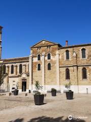 Cathédrale Saint-Apollinaire