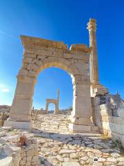 Sagalassos Archaeological Site