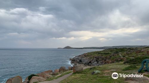 Kaiki Walk - Granite Island