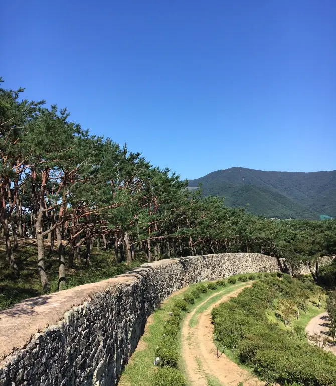 高敞郡