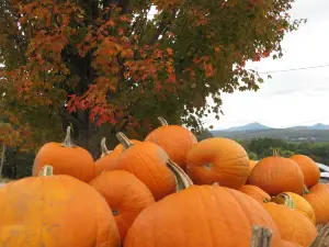 Four Corners Farm