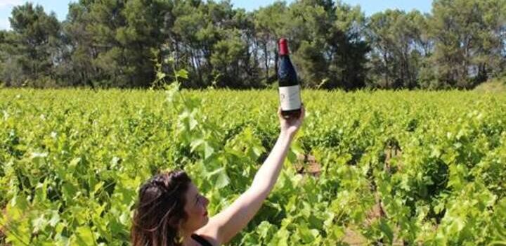 Vignerons Propriétés Associés