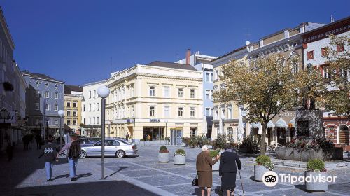 Stelzhamerplatz & Denkmal