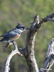 Resaca De La Palma State Park