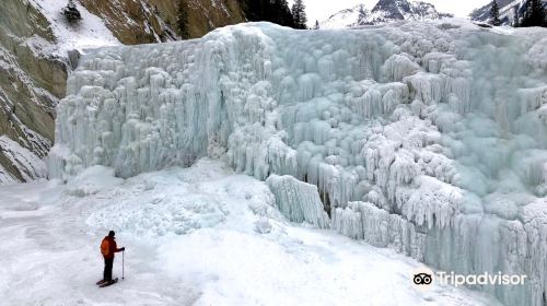 Wapta Falls