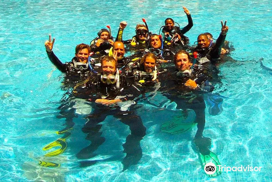 4_IDC GO PRO Academy