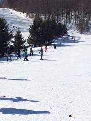 Toggenburg Mountain Winter Sports Center