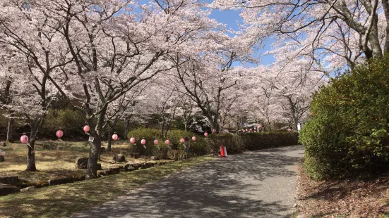 のどごえ公園