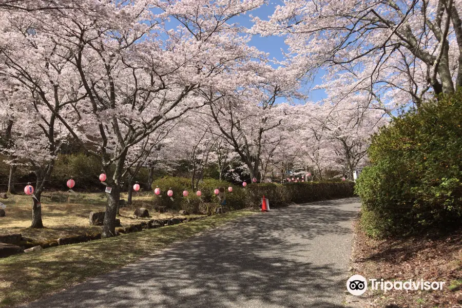 のどごえ公園