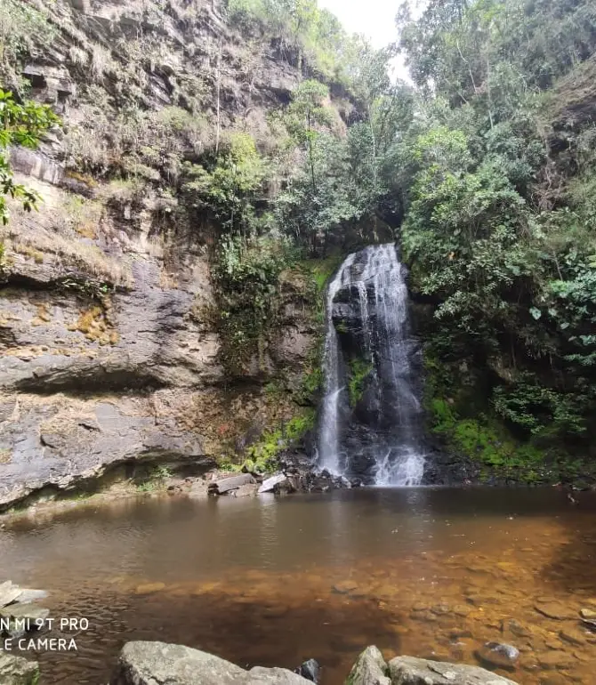 Moniquira