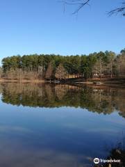 Holly Springs National Forest