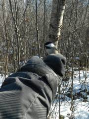 Centre dInterprétation de la Nature du Lac Boivin