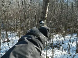 Centre dInterprétation de la Nature du Lac Boivin