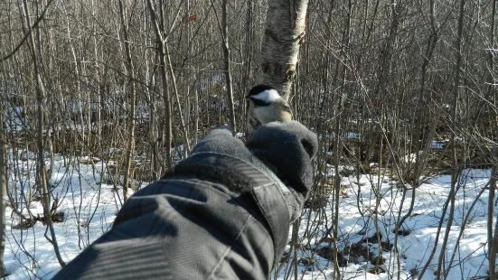 Centre d'Interprétation de la Nature du Lac Boivin