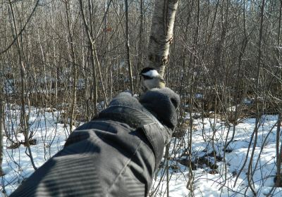 Centre d'Interprétation de la Nature du Lac Boivin