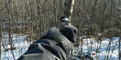 Centre d'Interpretation de la Nature du Lac Boivin