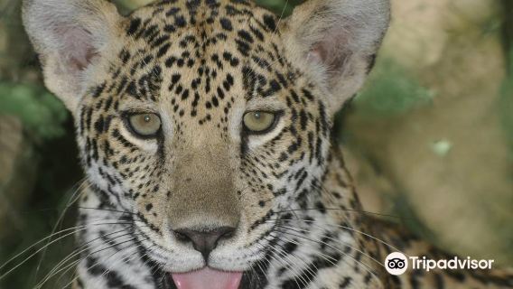 NATUWA Wildlife Sanctuary