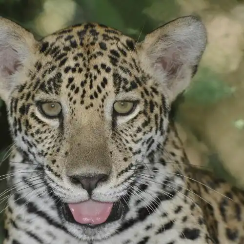 NATUWA Wildlife Sanctuary