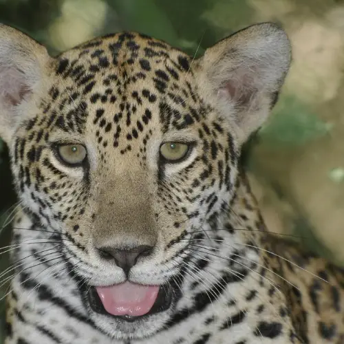 NATUWA Wildlife Sanctuary