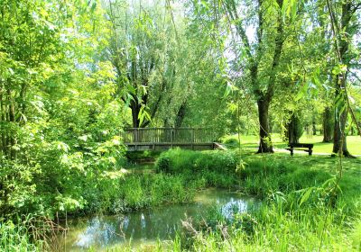 Bourton Park