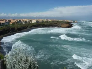 Plage de la Grande Conque