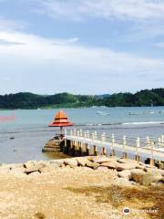 Bayang Root Bridge