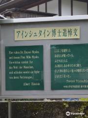 Einstein Friendship Monument