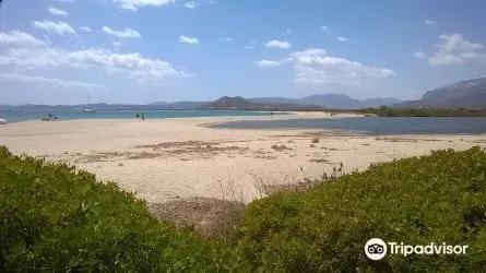 Spiaggia di Orvile