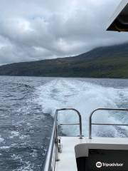 Shearwater Cruises