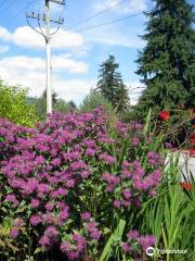 Inspiration Garden at Town Centre Park