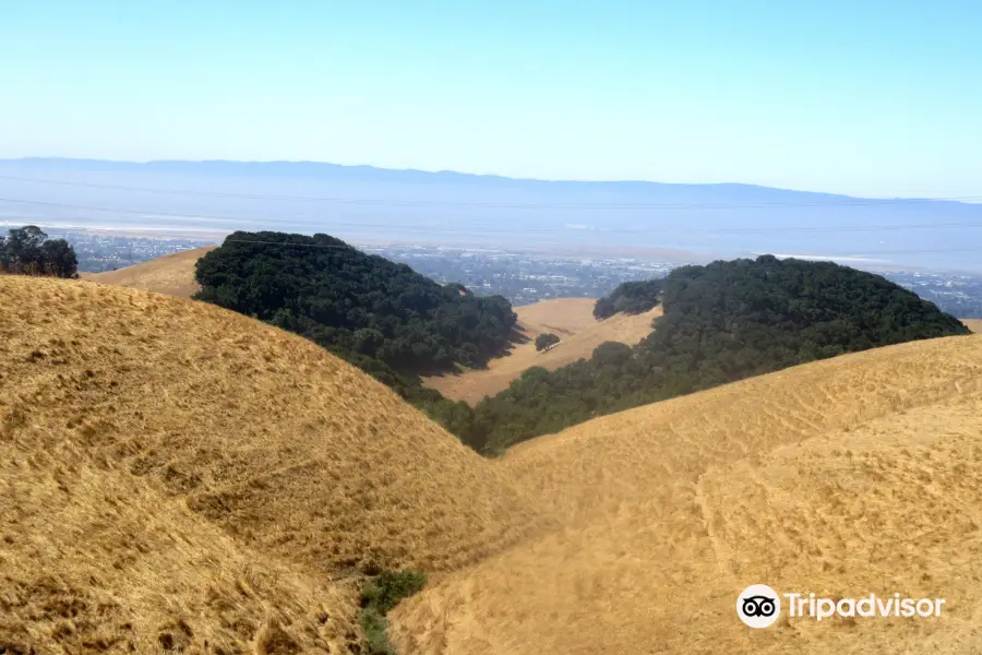 Vargas Plateau Regional Park