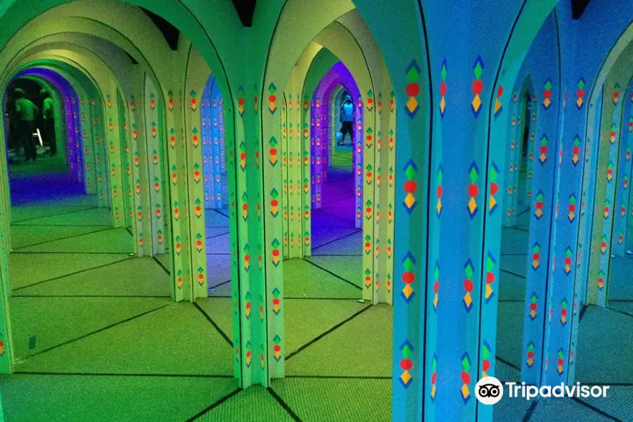 Amazing Mirror Maze