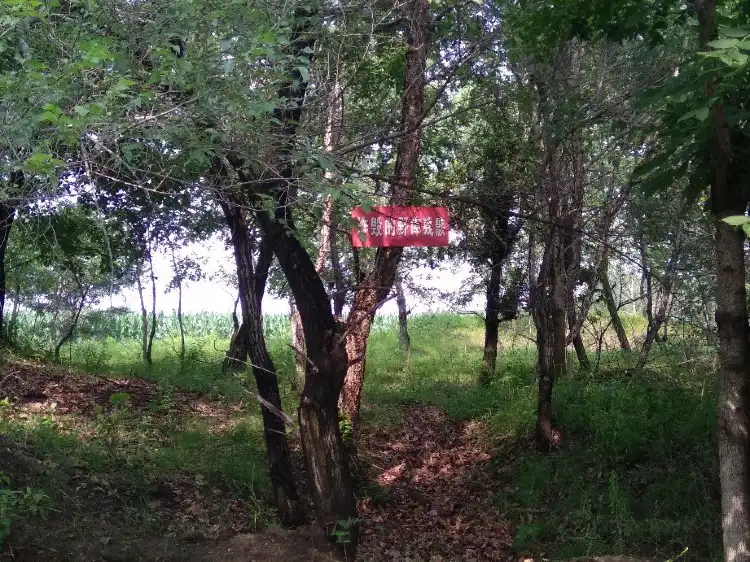 Boli County