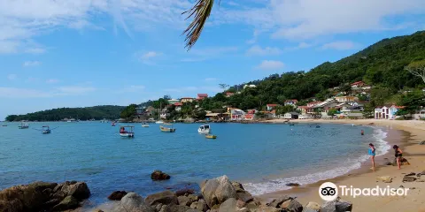 Porto Belo Beach