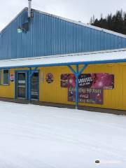 Carousel Roller Rink