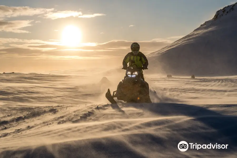 Stag Iceland