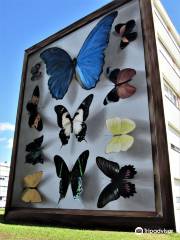 Fresque "Collection de papillons"