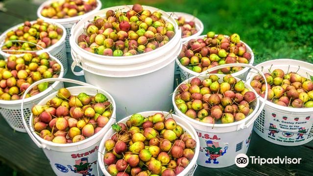 Black Mountain Cider + Mead