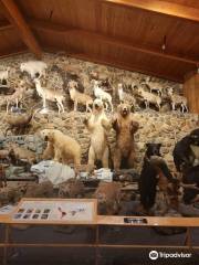 International Wildlife Museum