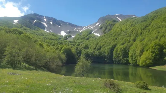 Riserva regionale Lago Laudemio