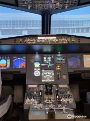 AviaSim Rennes - Simulateur de vol