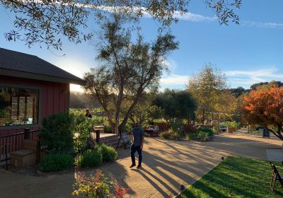 Old Creek Ranch & Winery
