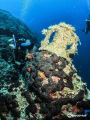 Seahorse Dive Center